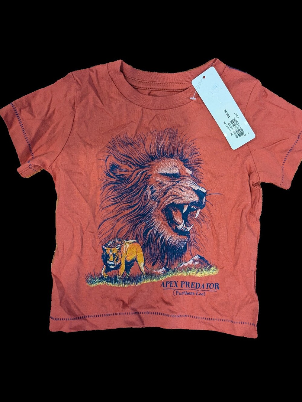 Peek Kids Baby Lion Tee 12-18M NWT Summer 2018 Discontinued